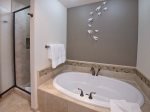 Master Bathroom Tub & Shower 